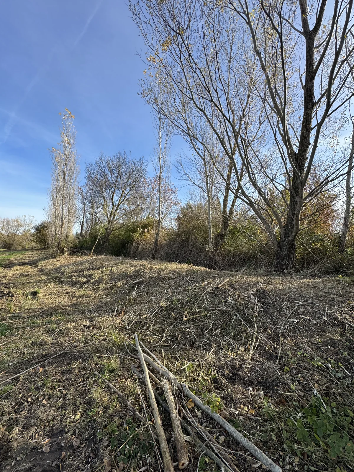 Débroussaillage en lisière - Après