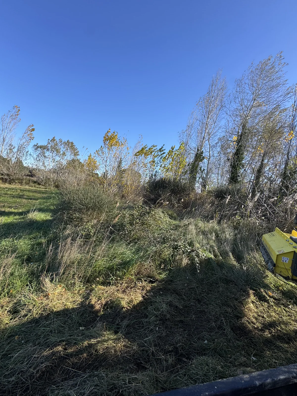 Broussailles et herbes hautes au pied des arbres, avec une partie du matériel visible sur le côté.
