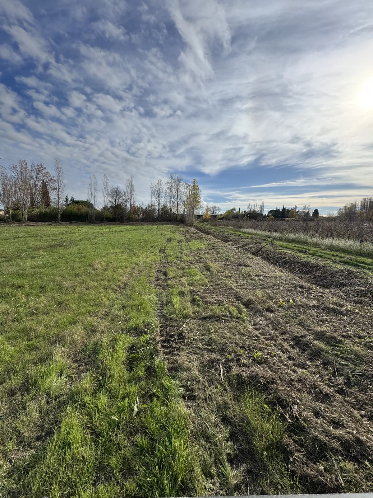 Bande broyée en bordure d'une parcelle dont le centre reste enherbé