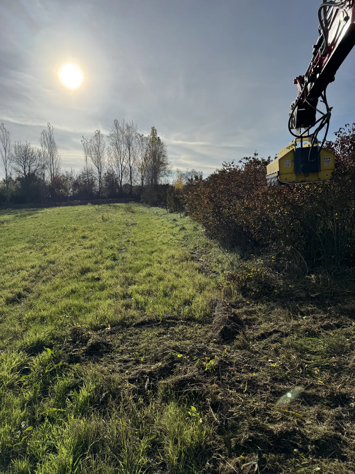 Broyeur visible en bordure d’une parcelle enherbée, avec broussailles encore présentes et végétation déjà coupée au premier plan.